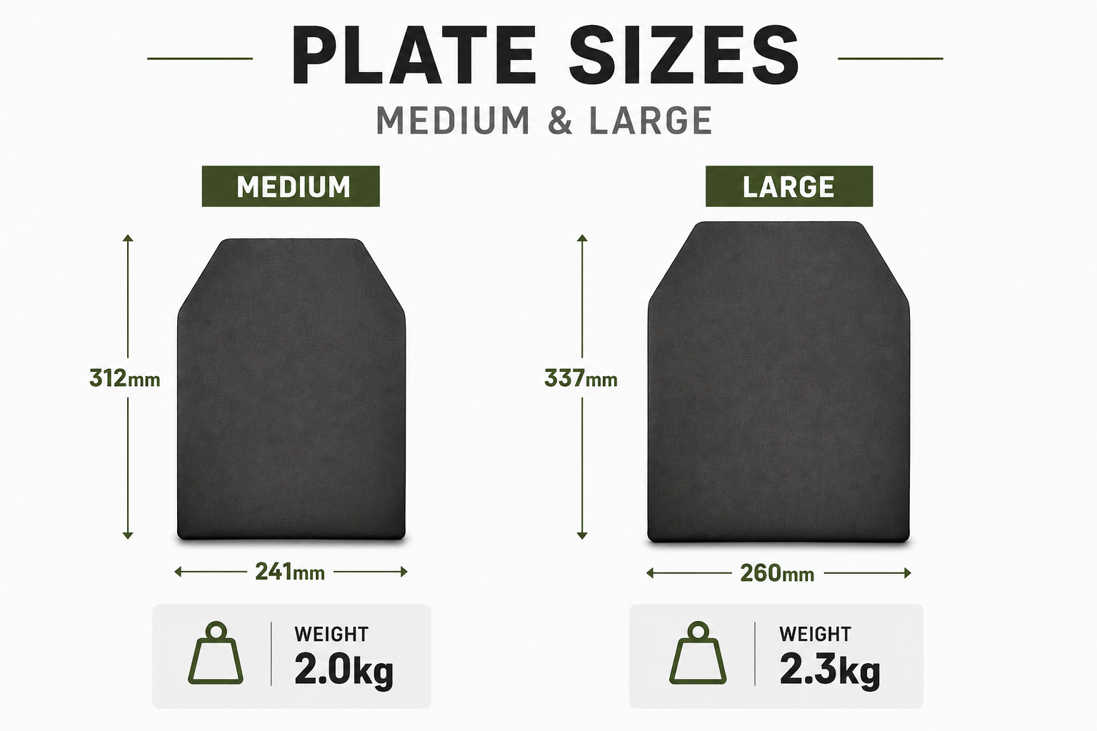 MST Weighted Training Plates (PAIR)